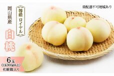 桃 2026年 先行予約 白桃 6玉 （1玉300g以上） 等級：ロイヤル 化粧箱入り もも モモ 岡山県産 国産 フルーツ 果物 ギフト 贈答品 糖度12.0度以上  [№5735-1573]
