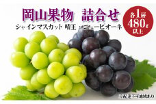 ぶどう 2024年 先行予約 岡山果物 詰合せ ニュー ピオーネ 1房 480g以上／ シャイン マスカット 1房 晴王 480g以上 化粧箱入り ブドウ 葡萄  岡山県産 国産 フルーツ 果物 ギフト[№5735-1576]