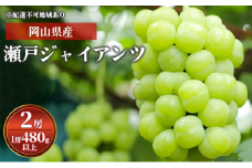 ぶどう 2024年 先行予約 瀬戸ジャイアンツ 2房（1房 480g以上）化粧箱入り ブドウ 葡萄  岡山県産 国産 フルーツ 果物 ギフト[№5735-1590]
