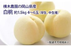 桃 2026年 先行予約 岡山の 白桃（早生、中生種）約1.5kg 4～6玉 もも モモ 岡山県産 国産 フルーツ 果物 ギフト 横木農園 スイーツ  [№5735-1633]