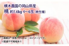 桃 2025年 先行予約 岡山の桃（晩生種）約1.6kg 4～6玉 もも モモ 岡山県産 国産 フルーツ 果物 ギフト 横木農園 [№5735-1635]