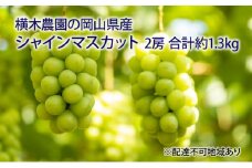 ぶどう 2025年 先行予約 シャイン マスカット 2房 合計約1.3kg 贈答用 ブドウ 葡萄  岡山県産 国産 フルーツ 果物 ギフト 横木農園 [№5735-1637]