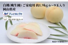 桃 2025年 先行予約 岡山 白桃（晩生種）ご家庭用 約1.9kg 6～9玉入り もも モモ 岡山県産 国産 フルーツ 果物 直送！せとうちバスケット [№5735-1651]