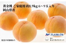 桃 2025年 先行予約 岡山 黄金桃 ご家庭用 約1.9kg 6～9玉入り もも モモ 岡山県産 国産 フルーツ 果物 直送！せとうちバスケット [№5735-1652]