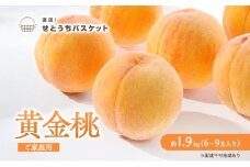 桃 2025年 先行予約 岡山 黄金桃 ご家庭用 約1.9kg 6～9玉入り もも モモ 岡山県産 国産 フルーツ 果物 直送！せとうちバスケット [№5735-1652]