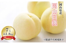 桃 2025年 先行予約 岡山 白桃 7玉 約1.8kg 等級：ロイヤル（1玉 260g以上） もも モモ 岡山県産 国産 フルーツ 果物 ギフト [№5735-1591]