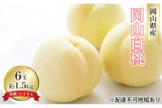 桃 2025年 先行予約 岡山 白桃 6玉 約1.5kg 等級：ロイヤル（1玉 240g以上） もも モモ 岡山県産 国産 フルーツ 果物 ギフト [№5735-1593]