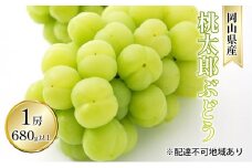 ぶどう 2025年 先行予約 桃太郎 ぶどう 1房 680g以上（露地栽培）贈答用 ブドウ 葡萄  岡山県産 国産 フルーツ 果物 ギフト [№5735-1594]
