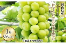 ぶどう 2025年 先行予約 つる付き シャイン マスカット 晴王 1房 680g以上（露地栽培） ブドウ 葡萄  岡山県産 国産 フルーツ 果物 ギフト [№5735-1603]