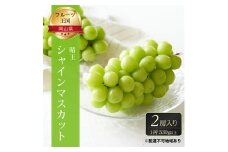ぶどう 2025年 先行予約 ご家庭用 シャイン マスカット 晴王 優品 2房入り（1房 530g以上 露地栽培） ブドウ 葡萄  岡山県産 国産 フルーツ 果物 [№5735-1604]