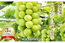 ぶどう 2025年 先行予約 ご家庭用 シャイン マスカット 晴王 優品 3房入り（1房 530g以上 露地栽培） ブドウ 葡萄  岡山県産 国産 フルーツ 果物 [№5735-1605]
