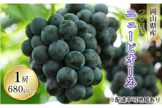 ぶどう 2025年 先行予約 つる付き ニュー ピオーネ 1房 680g以上（露地栽培） ブドウ 葡萄  岡山県産 国産 フルーツ 果物 ギフト [№5735-1612]