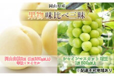 桃 ぶどう 2026年 先行予約 果物 味比べ三昧  岡山 白桃 2玉 等級：ロイヤル（1玉260g以上） シャイン マスカット 晴王 1房 580g以上 詰合せ 岡山の桃 岡山の葡萄 食べ比べ [№5735-1616]