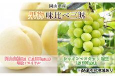 桃 ぶどう 2025年 先行予約 果物 味比べ三昧 岡山 白桃 2玉 等級：ロイヤル（1玉220g以上） シャイン マスカット 晴王 1房 380g以上 詰合せ もも 葡萄 岡山県産 国産 フルーツ 果物 ギフト [№5735-1619]