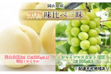 桃 ぶどう 2026年 先行予約 果物 味比べ三昧 岡山 白桃 2玉 等級：ロイヤル（1玉220g以上） シャイン マスカット 晴王 1房 380g以上 詰合せ もも 葡萄 岡山県産 国産 フルーツ 果物 ギフト 食べ比べ [№5735-1619]