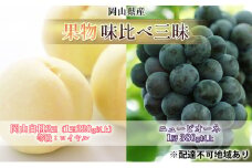 桃 ぶどう 2025年 先行予約 果物 味比べ三昧 岡山 白桃 2玉 等級：ロイヤル（1玉220g以上）ニュー ピオーネ 1房 380g以上 詰合せ もも 葡萄 岡山県産 国産 フルーツ 果物 ギフト [№5735-1620]