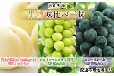 桃 ぶどう 2025年 先行予約 果物 味比べ三昧 岡山白桃 2玉 シャインマスカット 晴王 1房 ニュー ピオーネ 1房 詰合せ [№5735-1621]