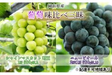 ぶどう 2026年 先行予約 葡萄 味比べ三昧 シャイン マスカット  晴王 1房 580g以上 ニュー ピオーネ  2房（1房 580g以上）（ハウス栽培）詰合せ ブドウ 葡萄  岡山県産 国産 フルーツ 果物 ギフト [№5735-1623]