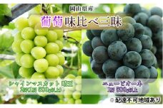 ぶどう 2025年 先行予約 葡萄 味比べ三昧 シャイン マスカット 晴王 2房（1房 580g以上）ニュー ピオーネ  1房 580g以上（露地栽培）詰合せ ブドウ 葡萄  岡山県産 国産 フルーツ 果物 ギフト [№5735-1627]