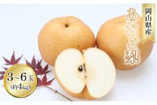 梨 2025年 先行予約 あたご梨 約4kg 3～6玉入り  なし ナシ  岡山県産 国産 フルーツ 果物 ギフト[№5735-1630]