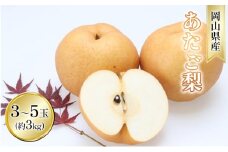 梨 2025年 先行予約 あたご梨 約3kg 3～5玉入り  なし ナシ  岡山県産 国産 フルーツ 果物 ギフト[№5735-1631]