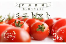 毎日食べたい石黒さんちの ミニトマト たっぷり 3kg 岡山県 瀬戸内市産 石黒農園【配達不可：離島】 [№5735-1646]