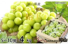 ぶどう 2025年 先行予約 シャイン マスカット 晴王 5房～10房 約4kg 8月下旬～11月下旬発送 ブドウ 葡萄  岡山県産 国産 フルーツ 果物 ギフト 岡山の葡萄 デザート 食後  [№5735-1659]