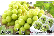 ぶどう 2025年 先行予約 シャイン マスカット 晴王 3房～6房 約2kg 8月下旬～11月下旬発送 ブドウ 葡萄  岡山県産 国産 フルーツ 果物 ギフト 岡山の葡萄 デザート 食後  [№5735-1660]
