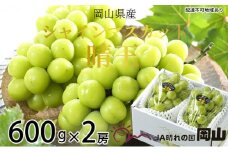 ぶどう 2025年 先行予約 シャイン マスカット 晴王 約600g×2房 8月下旬～11月下旬発送 ブドウ 葡萄  岡山県産 国産 フルーツ 果物 ギフト 岡山の葡萄 デザート 食後  [№5735-1662]