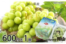 ぶどう 2025年 先行予約 シャイン マスカット 晴王 約600g×1房 8月下旬～11月下旬発送 ブドウ 葡萄  岡山県産 国産 フルーツ 果物 ギフト 岡山の葡萄 デザート 食後  [№5735-1666]