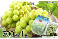 ぶどう 2025年 先行予約 シャイン マスカット 晴王 約700g×1房 8月下旬～11月下旬発送 ブドウ 葡萄  岡山県産 国産 フルーツ 果物 ギフト 岡山の葡萄 デザート 食後  [№5735-1667]