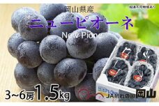 ぶどう 2025年 先行予約 ニュー ピオーネ 3房～6房 約1.5kg 8月下旬～10月上旬発送 ブドウ 葡萄  岡山県産 国産 フルーツ 果物 ギフト [№5735-1669]