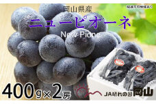 ぶどう 2025年 先行予約 ニュー ピオーネ 約400g×2房 8月下旬～10月上旬発送 ブドウ 葡萄  岡山県産 国産 フルーツ 果物 ギフト [№5735-1672]
