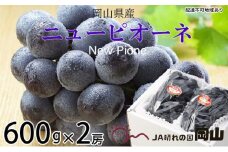 ぶどう 2025年 先行予約 ニュー ピオーネ 約600g×2房 8月下旬～10月上旬発送 ブドウ 葡萄  岡山県産 国産 フルーツ 果物 ギフト [№5735-1670]