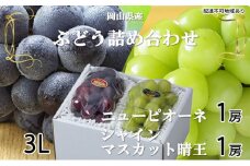 ぶどう 2025年 先行予約 ニュー ピオーネ 1房 約600g シャイン マスカット 晴王 1房 約600g 詰め合わせ 8月下旬～9月下旬発送 岡山県産 国産 フルーツ 果物 ギフト [№5735-1677]