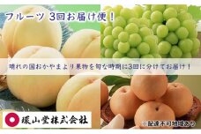 フルーツ 2025年 先行予約 3回お届け便！ 環山堂 セレクト 晴れの国おかやまより果物を旬な時期に3回に分けてお届け！ 桃 葡萄 梨 岡山県産 国産 果物 [№5735-1701]