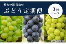 ぶどう 定期便 2025年 先行予約 晴れの国 岡山 の ぶどう定期便 3回コース 葡萄 ブドウ 岡山県産 国産 セット ギフト [№5735-1702]