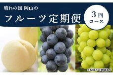 桃 ぶどう 定期便 2025年 先行予約 晴れの国 岡山 の フルーツ 定期便 3回コース もも モモ 葡萄 ブドウ 岡山県産 国産 セット ギフト [№5735-1703]
