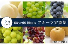 桃 ぶどう 梨 定期便 2025年 先行予約 晴れの国 岡山 の フルーツ 定期便 6回コース もも 葡萄 なし 岡山県産 国産 セット ギフト 白桃 ニューピオーネ シャインマスカット 晴王 紫苑 あたご梨  [№5735-1705]