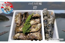 のぞみ 牡蠣  2025年先行予約 ［絆]  殻付き 約30個（ 三年牡蠣 ） 剥き身 500g×2パック（ 一年牡蠣 ） ナイフ 、 簡単レシピ 付き