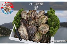 のぞみ 牡蠣  2025年先行予約 ［彩]  殻付き （ 三年牡蠣 ）約45個 ナイフ 、 簡単レシピ 付き