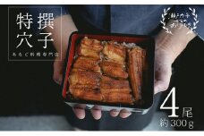 あなご 料理専門店の～ふっくら肉厚～ 特撰【 焼きあなご 4尾入 】 [№5735-1718]