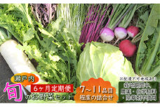 6ヶ月 定期便 瀬戸内 「旬」 のお野菜セット 7～11品目程度の詰合せ 野菜 農薬 化学肥料 除草剤不使用 岡山 M’s farm [№5735-1727]
