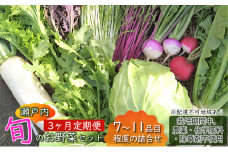 3ヶ月 定期便 瀬戸内 「旬」 のお野菜セット 7～11品目程度の詰合せ 野菜 農薬 化学肥料 除草剤不使用 岡山 M’s farm [№5735-1726]