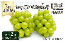 ぶどう 定期便 2025年 先行予約 シャイン マスカット 晴王 各月2房（1房600g以上） 3回コース マスカット ブドウ 葡萄  岡山県産 国産 フルーツ 果物 ギフト [№5735-1734]