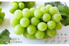 マスカット・ジパング 1房（1kg以上）内田農園 岡山県 瀬戸内市 邑久町産 葡萄 ぶどう 2024年【配達不可：北海道・沖縄・離島】 [№5735-1189]