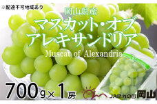 ぶどう 2025年 先行予約 マスカット ・オブ・アレキサンドリア 約700g×1房 ブドウ 葡萄  岡山県産 国産 フルーツ 果物 ギフト [№5735-1750]