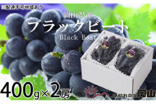 ぶどう 2025年 先行予約 ブラックビート 約400g×2房 ブドウ 葡萄  岡山県産 国産 フルーツ 果物 ギフト [№5735-1756]