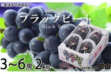 ぶどう 2025年 先行予約 ブラックビート 約2kg 3～6房 ブドウ 葡萄  岡山県産 国産 フルーツ 果物 ギフト [№5735-1760]