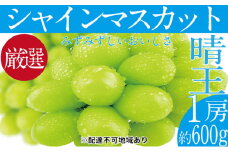 ぶどう 2025年 先行予約 シャイン マスカット 晴王 1房 約600g ブドウ 葡萄  岡山県産 国産 フルーツ 果物 ギフト[№5735-1678]